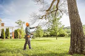 Best Arborist Consultation Services  in Mayo, MD